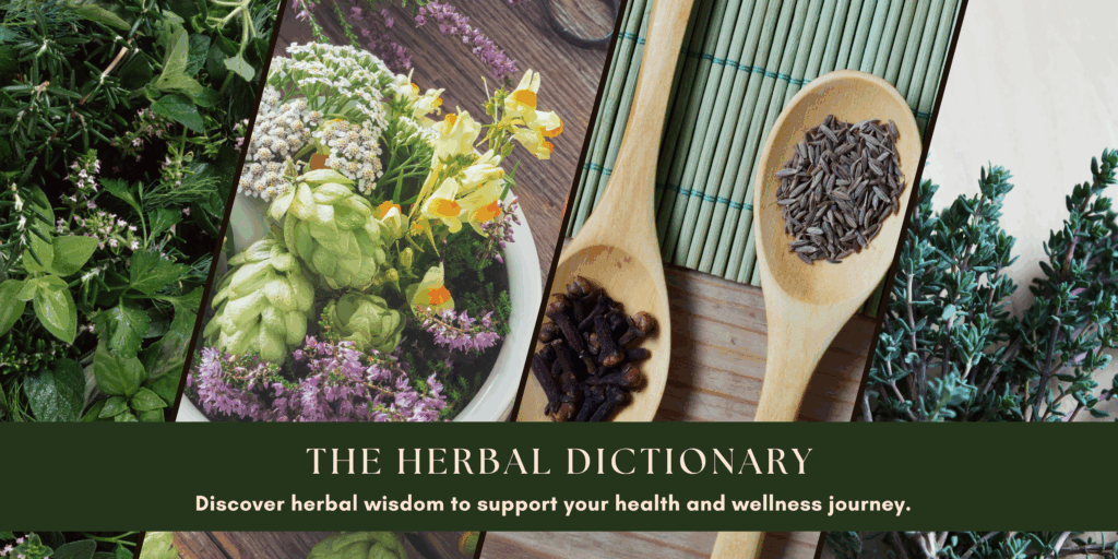 A vibrant collage of herbs, spices, and flowers arranged with wooden spoons and natural textures, overlaid with the title “The Herbal Dictionary” and the subheading “Discover herbal wisdom to support your health and wellness journey.